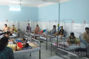 An Giang gia tăng số ca bệnh sốt xuất huyết.