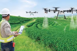 Ứng dụng IOT trong nông nghiệp bền vững.