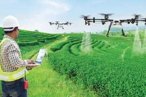 Ứng dụng IOT trong nông nghiệp bền vững.