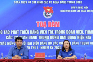 Phát triển đảng viên trẻ theo hướng thường xuyên, bài bản và lâu dài
