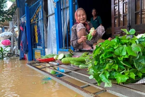 Có phương án chủ động, người dân bình tĩnh sống chung với mưa lụt.