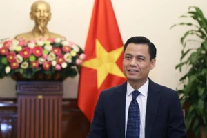 Thứ trưởng Ngoại giao Đặng Hoàng Giang. (Ảnh: Bộ Ngoại giao)