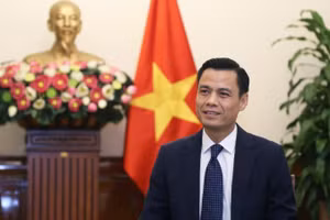 Thứ trưởng Ngoại giao Đặng Hoàng Giang. (Ảnh: Bộ Ngoại giao)