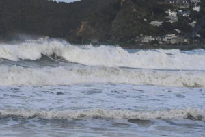 Ảnh minh họa: Tân Hoa xã