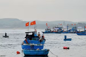 Ngư dân vươn khơi bám biển, thực hiện nghiêm quy định chống khai thác IUU.