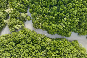 Hướng đi cho phát triển kinh tế tuần hoàn ở Thành phố Hồ Chí Minh