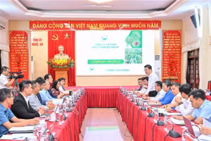 Quang cảnh buổi làm việc.