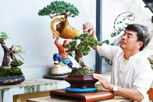 Nghệ nhân Nguyễn Phương Uyên tạo dáng cho bonsai mini.