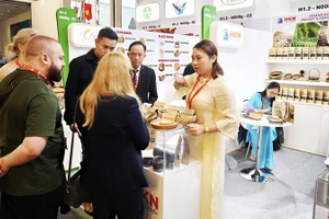 Cộng đồng kiều bào tham gia kết nối thị trường, kết nối đối tác ở nước ngoài. Ảnh: UBNV