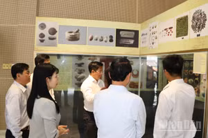 Nhà trưng bày văn hóa Óc Eo trưng bày nhiều hình ảnh, hiện vật Óc Eo.