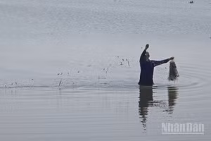 Nông dân An Giang đánh bắt thủy sản bằng ngư cụ truyền thống.