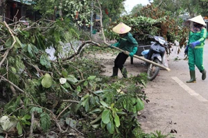 Công ty Cổ phần Môi trường và Công trình đô thị Nghệ An huy động hơn 600 công nhân, lao động và gần 100 phương tiện thu gom rác thải.