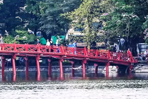 Tạo nên phong cảnh yên bình.