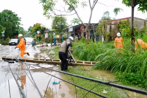 Dông lốc khiến 15 cột điện trên địa bàn xã Quỳ Hợp bị gãy đổ. (Ảnh: Trung tâm cung ứng dịch vụ công xã Quỳ Hợp)