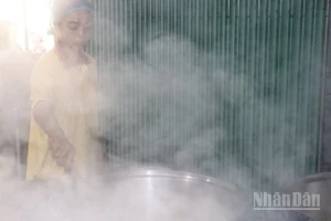 Nấu đường thốt nốt truyền thống.