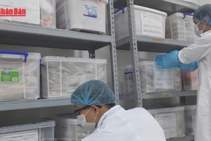 [Video] Bước tiến mới trong công nghệ giám định hài cốt liệt sĩ 