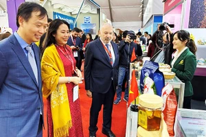 Giới thiệu hàng hóa Việt Nam tại Hội chợ ở Ai Cập. Ảnh: TTXVN