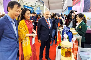 Giới thiệu hàng hóa Việt Nam tại Hội chợ ở Ai Cập. Ảnh: TTXVN