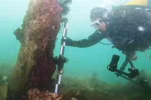 Phát hiện mới về di chỉ 7.000 năm tuổi