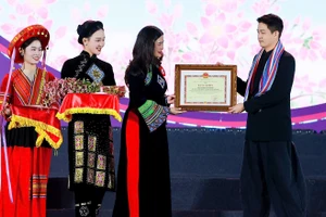 Phó Chủ tịch Ủy ban nhân dân tỉnh Tuyên Quang Vương Ngọc Hà trao Bằng khen cho Mayogu, đơn vị đồng hành cùng Lễ hội Hoa tam giác mạch. (Ảnh: Ban tổ chức)