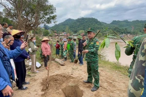 Cán bộ, chiến sĩ Đồn Biên phòng Mỹ Lý chia sẻ về giống tre tứ quý cũng như đặc điểm để người dân trồng, chăm sóc.