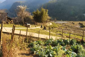 Cảnh trong phim "Thung lũng hoang vắng". (Ảnh: BTC cung cấp)