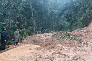 Nhiều điểm sạt lở trên địa bàn các xã miền tây Nghệ An.