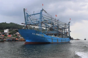 Tỉnh Nghệ An có 2.816 phương tiện /12.644 lao động trực tiếp đánh bắt hải sản.