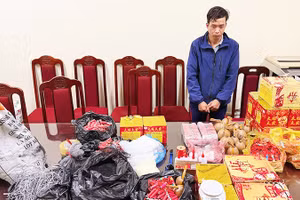 Số lượng lớn pháo nổ bị Công an Hà Nội thu giữ.