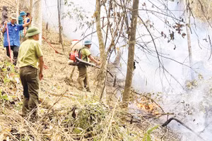 Lực lượng kiểm lâm phối hợp các cơ quan, đơn vị diễn tập phòng cháy, chữa cháy rừng tại xã Mường Pồn (tỉnh Điện Biên) (Ảnh: TRẦN THAO)