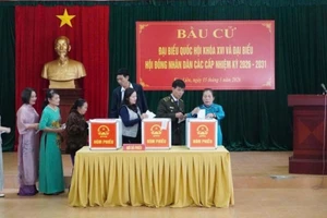 Gần 2,6 triệu cử tri tỉnh Nghệ An nô nức đến các khu vực bỏ phiếu để thực hiện quyền và nghĩa vụ công dân.