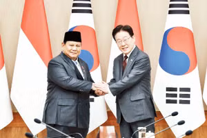 Hai nhà lãnh đạo Indonesia và Hàn Quốc hội đàm cấp cao.