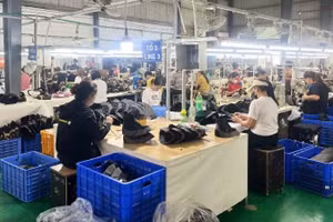 Khu vực kinh tế tư nhân đang được tạo điều kiện tiếp cận tốt hơn các nguồn lực phục vụ sản xuất, kinh doanh. (Ảnh: MINH PHƯƠNG)