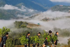 Mùa xuân là Tết trồng cây.