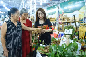 Sâm Ngọc Linh tiếp cận gần hơn với người tiêu dùng.