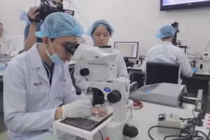 Hoạt động nghiên cứu khoa học tại Đại học Quốc gia Thành phố Hồ Chí Minh.