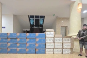 Công an tỉnh Quảng Trị phát hiện, bắt giữ đối tượng cùng tang vật.