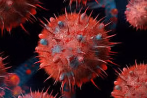 Nguồn: SBS Australia 