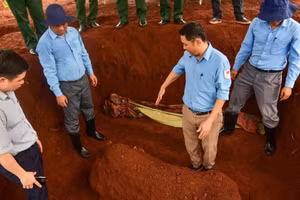 Kiểm tra đánh giá tại xã Minh Đức.