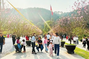 Du khách đi lễ, du xuân tại Chùa Địa Tạng Phi Lai Tự, Ninh Bình.