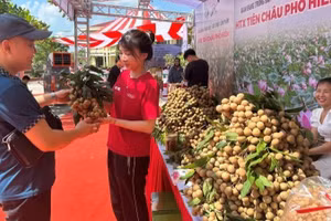 Gian hàng nhãn tại hội nghị xúc tiến thương mại tiêu thụ nhãn tại xã Tân Hưng, tỉnh Hưng Yên. (Ảnh: PHẠM HÀ)