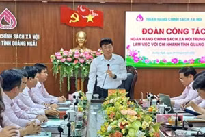 Quang cảnh buổi làm việc của Đoàn công tác Trung ương với chi nhánh Ngân hàng Chính sách xã hội tỉnh Quảng Ngãi.