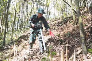 Cắm cờ báo điểm nghi có vật nổ trên điểm cao 1.100 (xã Thanh Thủy, Tuyên Quang). 