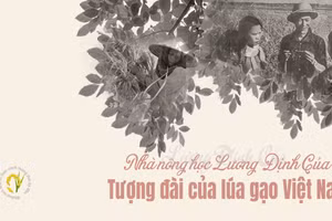 Nhà nông học Lương Định Của – Tượng đài của lúa gạo Việt Nam