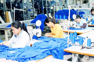 Nhóm doanh nghiệp dệt may có tỷ trọng nhập khẩu bông lớn từ Mỹ như TCM, ADS, Vinatex… được hưởng lợi. Ảnh: SONG ANH