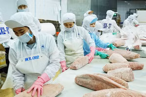 Kim ngạch xuất khẩu hải sản sáu tháng đầu năm ước đạt khoảng 5,7 tỷ USD, tương ứng mức tăng khoảng 11%. Ảnh: BẮC SƠN