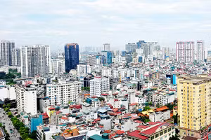 Nếu khai thác tốt, “mái nhà” Hà Nội có thể trở thành thảm xanh hữu ích. Ảnh: NAM NGUYỄN