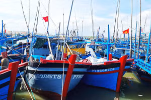 100% tàu đánh cá xa bờ tỉnh Đắk Lắk gắn thiết bị giám sát hành trình.