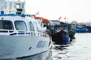 Ngày 17/1, Hiệp ước Biển cả chính thức có hiệu lực. Ảnh: SONG ANH