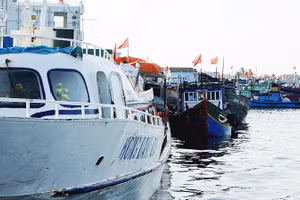 Ngày 17/1, Hiệp ước Biển cả chính thức có hiệu lực. Ảnh: SONG ANH